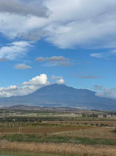 Bahal Dell'Etna Agri-Resort Ramacca Eksteriør billede